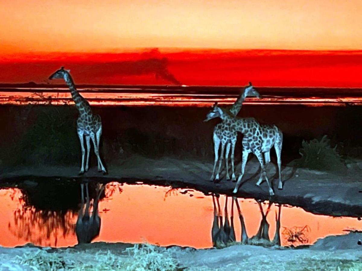 Mwandi View 호텔 Kavimba 외부 사진