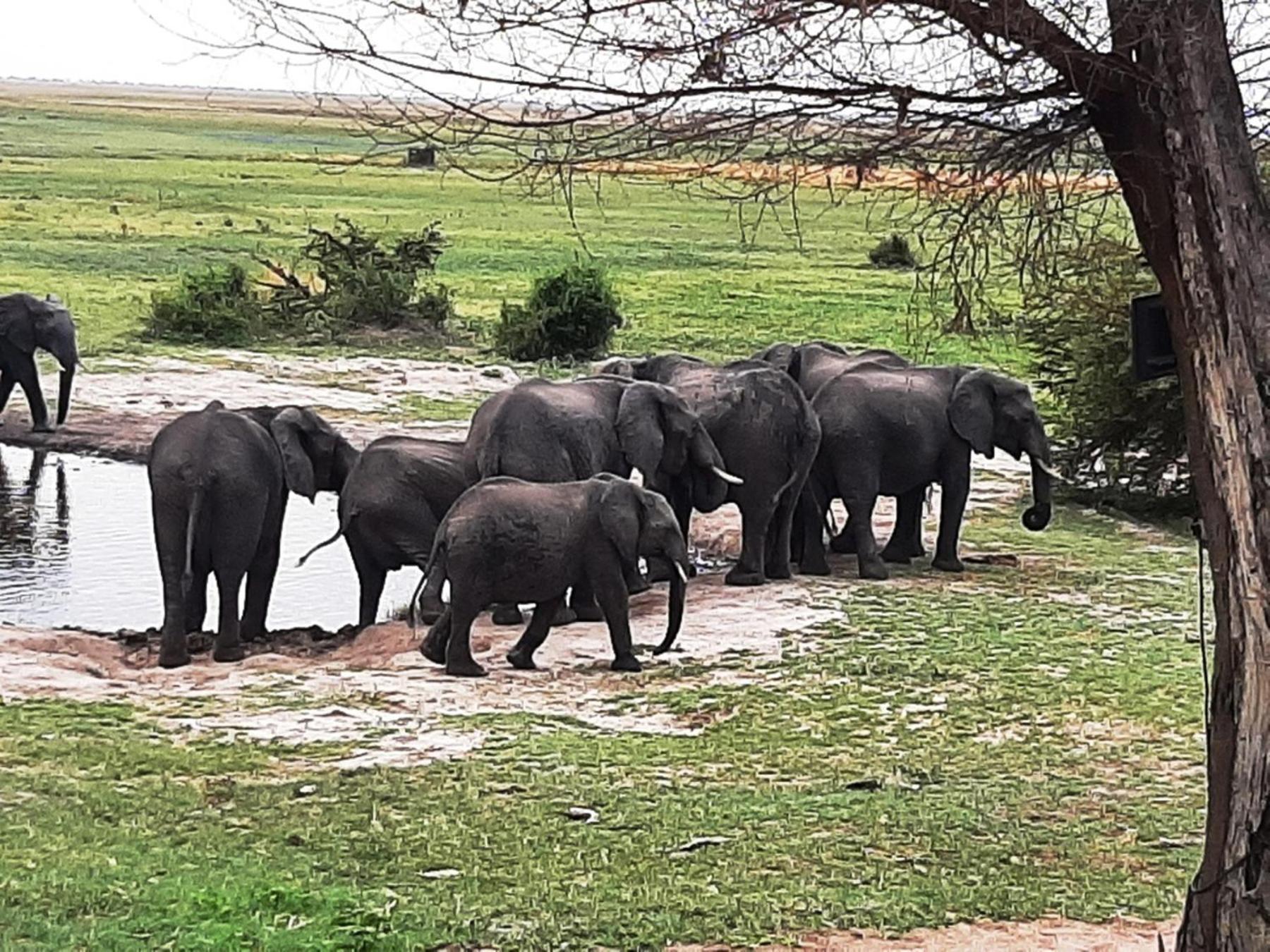 Mwandi View 호텔 Kavimba 외부 사진